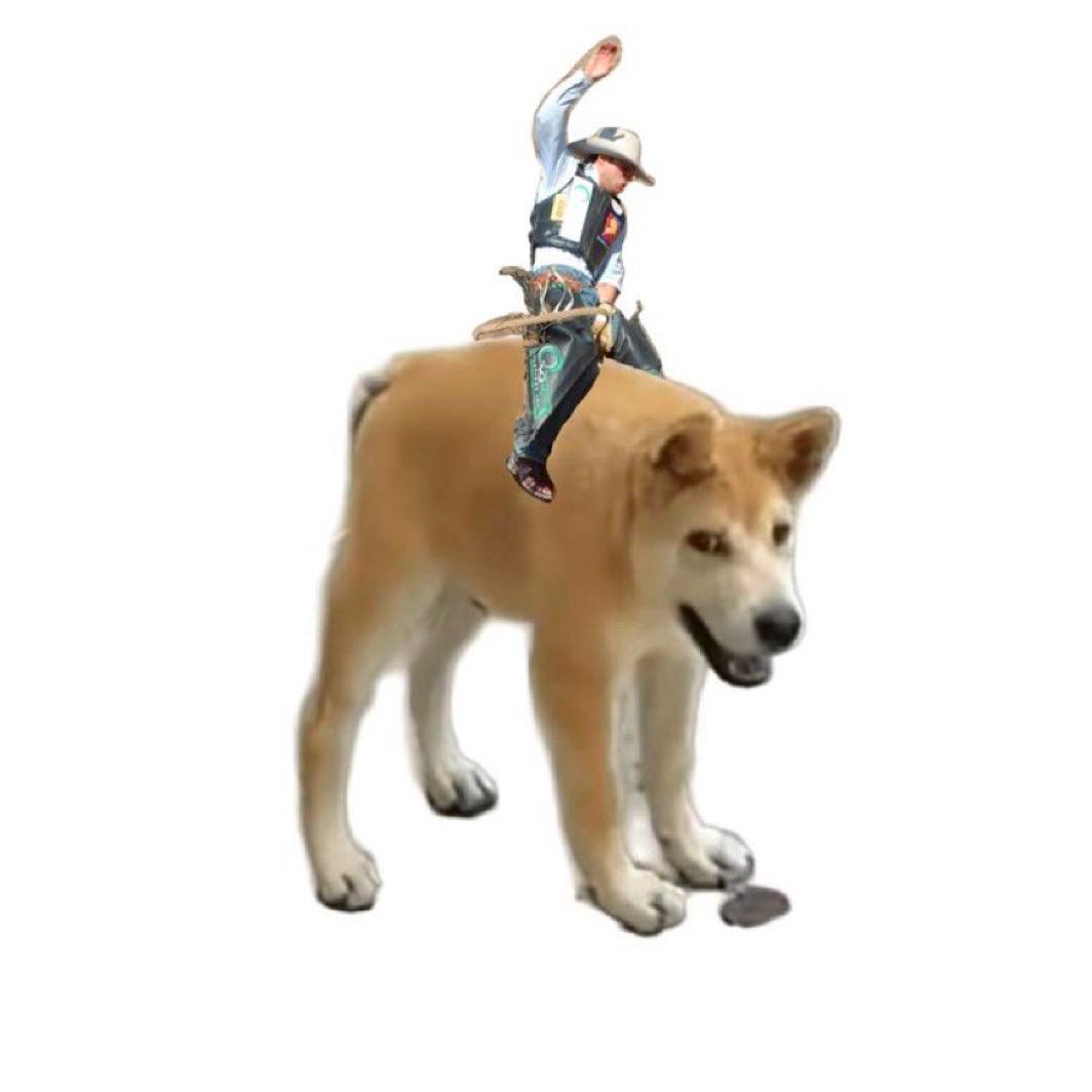 Community Doggo
